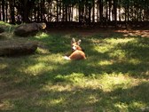 Enlarge photo 19