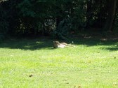 Enlarge photo 25