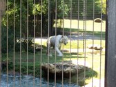 Enlarge photo 29