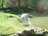Enlarge photo 31
