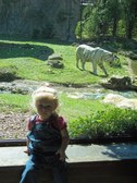 Enlarge photo 30