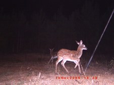 Enlarge photo 41