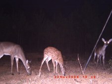 Enlarge photo 42