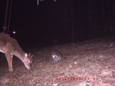 Enlarge photo 65