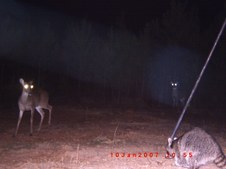 Enlarge photo 55