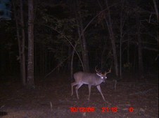 Enlarge photo 31