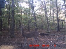 Enlarge photo 32