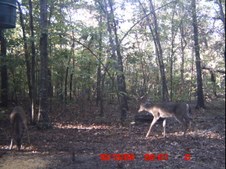 Enlarge photo 34