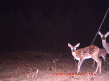 Enlarge photo 36