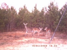Enlarge photo 46