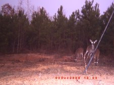 Enlarge photo 47
