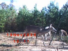 Enlarge photo 37