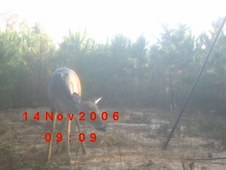 Enlarge photo 39