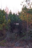 Enlarge photo 33