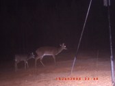 Enlarge photo 39