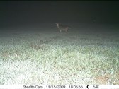 Enlarge photo 30