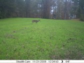 Enlarge photo 46