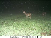 Enlarge photo 31