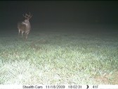 Enlarge photo 34