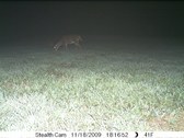 Enlarge photo 36