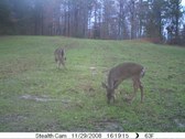 Enlarge photo 1