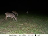Enlarge photo 30