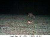 Enlarge photo 35