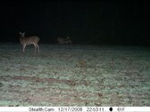 Enlarge photo 36