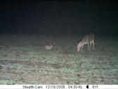 Enlarge photo 37