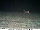 Enlarge photo 38