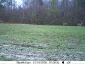 Enlarge photo 39