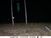 Enlarge photo 43