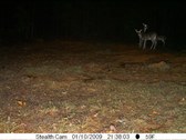Enlarge photo 46