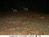 Enlarge photo 47