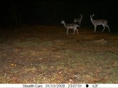 Enlarge photo 48