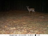 Enlarge photo 51