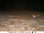 Enlarge photo 52