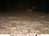 Enlarge photo 53