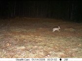 Enlarge photo 55
