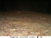 Enlarge photo 57
