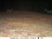 Enlarge photo 59
