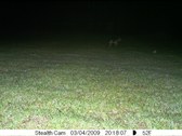 Enlarge photo 73