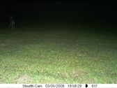 Enlarge photo 75