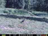 Enlarge photo 1