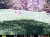 Enlarge photo 42