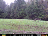 Enlarge photo 25