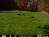 Enlarge photo 46