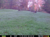 Enlarge photo 48