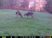 Enlarge photo 49