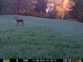 Enlarge photo 36